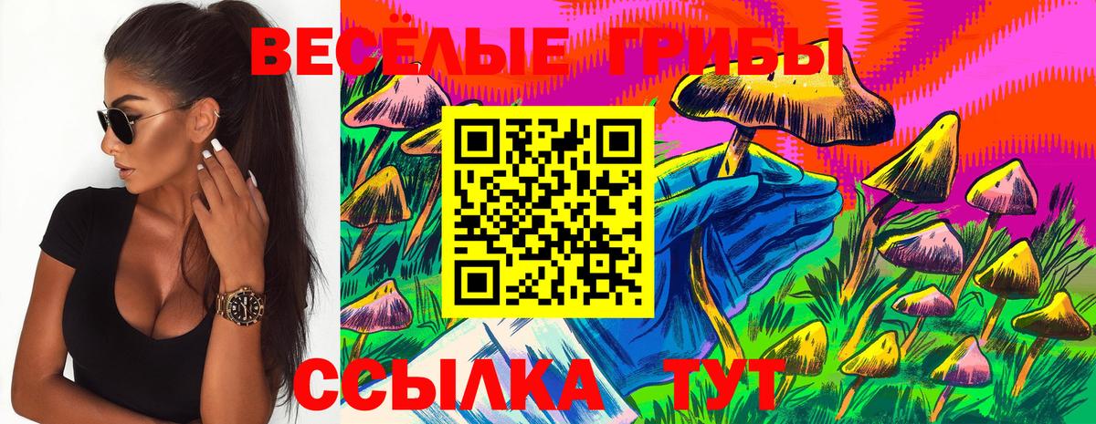 Шахты  Галлюциногенные грибы Psilocybine cubensis  Вход с VPN 