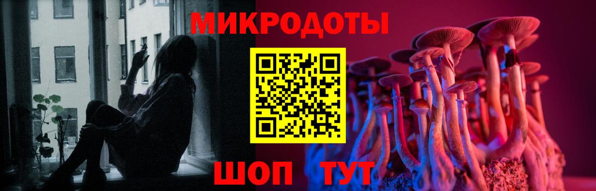 Галлюциногенные грибы Psilocybe Шахты